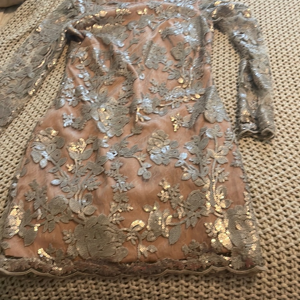 Dress the population size 2 mini dress, sheer with beige lining, elegant,